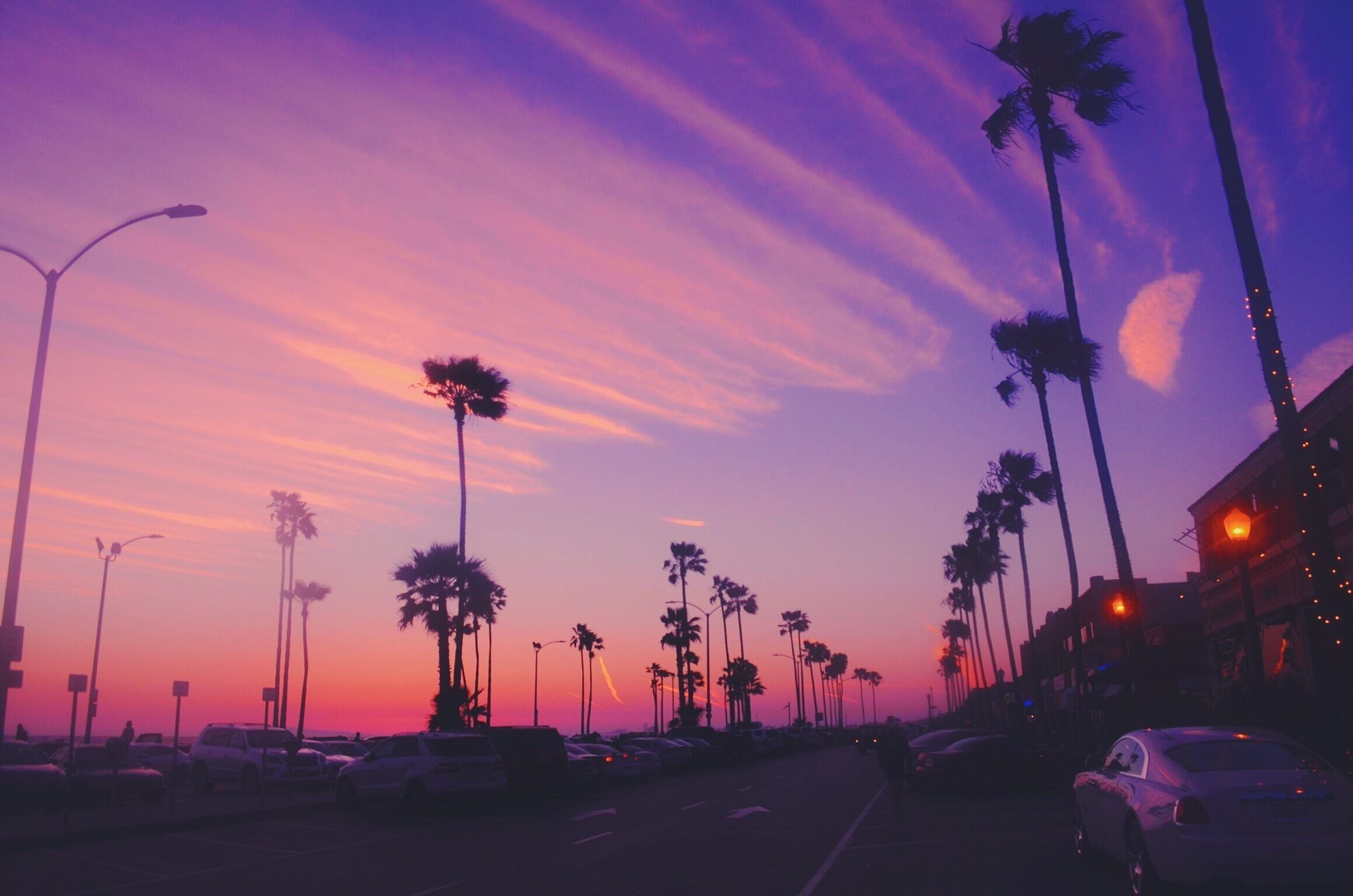 A sunset with palm trees and cars on a street.