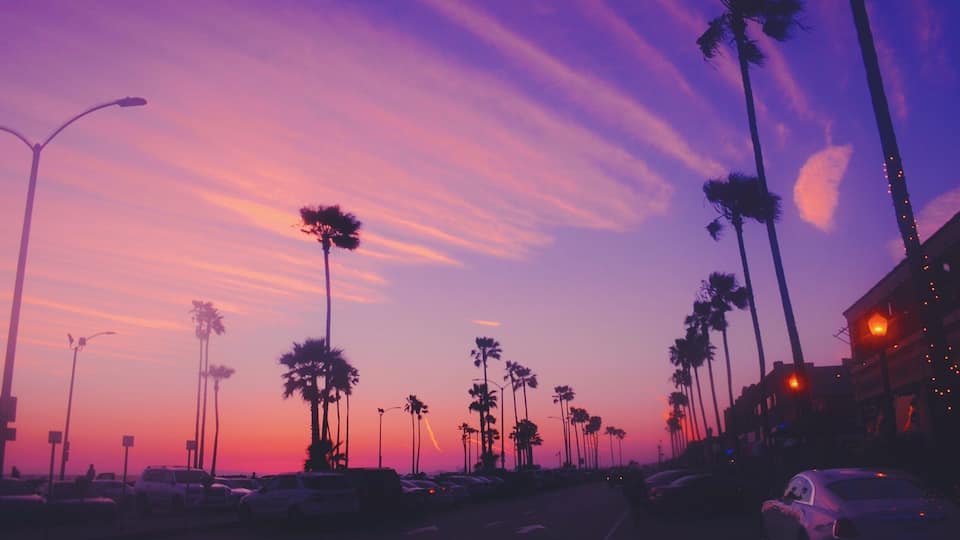 A sunset with palm trees and cars on a street.