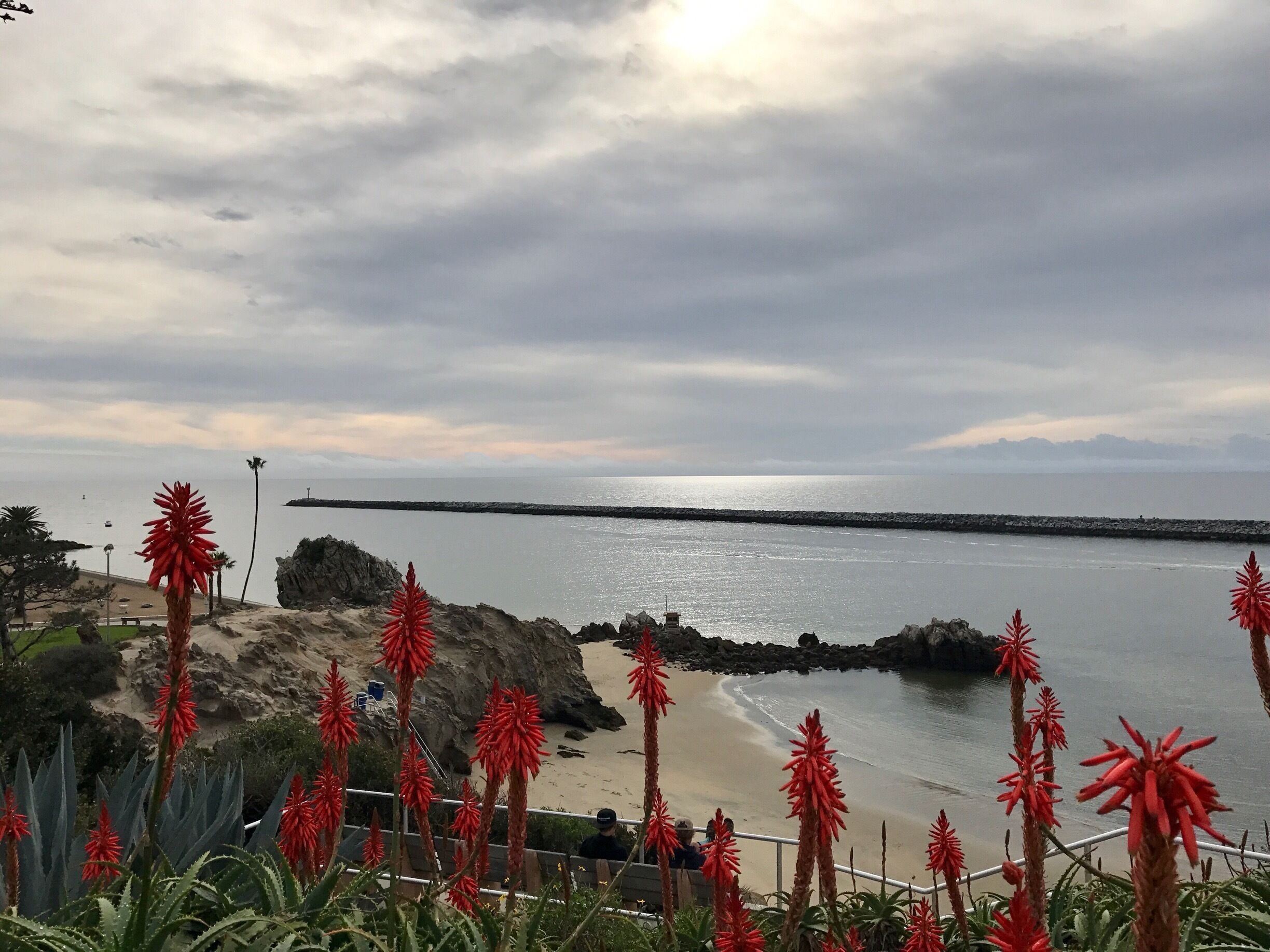 After the rain shot of Lookout Point. Usually a nice spot to relax and watch the sailboats