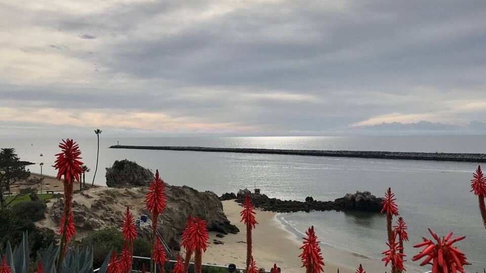 After the rain shot of Lookout Point. Usually a nice spot to relax and watch the sailboats