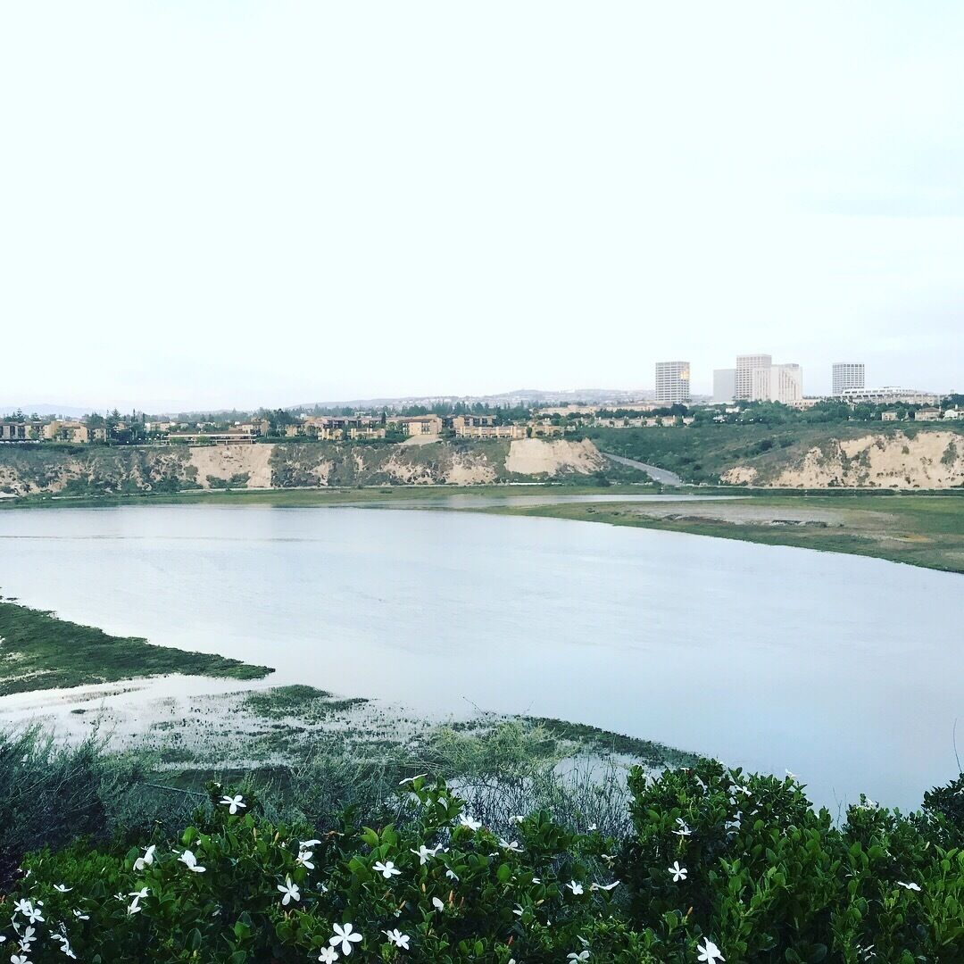 #backbay vantage point in #newportbeach #BVSBlue 