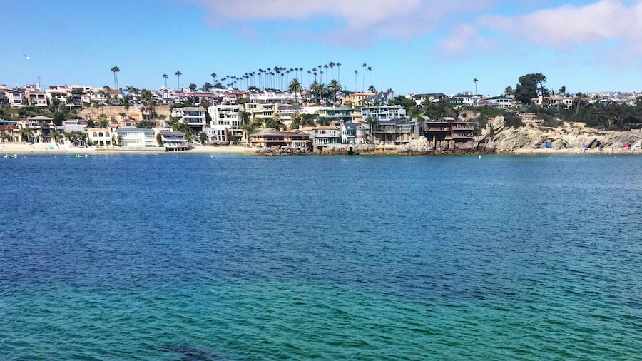 #beach #ocean #waterlust #newportbeach #california