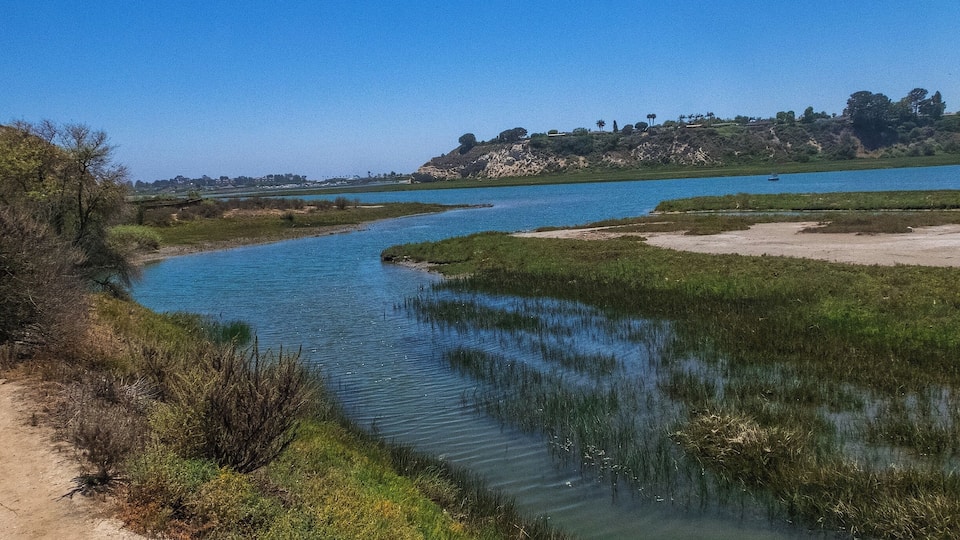 Leave it to the OC to build a combination automobile/bicycle/pedestrian path, each with its own lane, along a three mile stretch of the upper portion of the Newport Bay.
But that is exactly what they did.
The trail is all asphalt, with a few very small offshoots into dirt "nature" trails. The place is beautiful, really, but I have to put a fly in the ointment here and divulge one of the OC's dirty little secrets. Somehow or another, a heavy portion of refuse has washed back into the bay and now litters various spots along the trail. It does not overwhelm the area (as you see here), but it definitely gives one pause to reflect.
That aside, the refuge is home to all manner of wildlife -- Ospreys, Snowy Egrets, Herons, Terns, Seagulls, Ravens, crabs, lizards, frogs, wildflowers of an incredible variety, and all the insects they attract.
There really is no elevation gain to speak of, nothing but the 6-mile round trip to give it even a hint of hiking bona fides. But it is a very pleasant way to drop down from a 16-mile noggin' poacher like the long route at Crystal Cove.
We added a second "hike" at another relatively flat nature preserve to round out the day.
But more on that later.