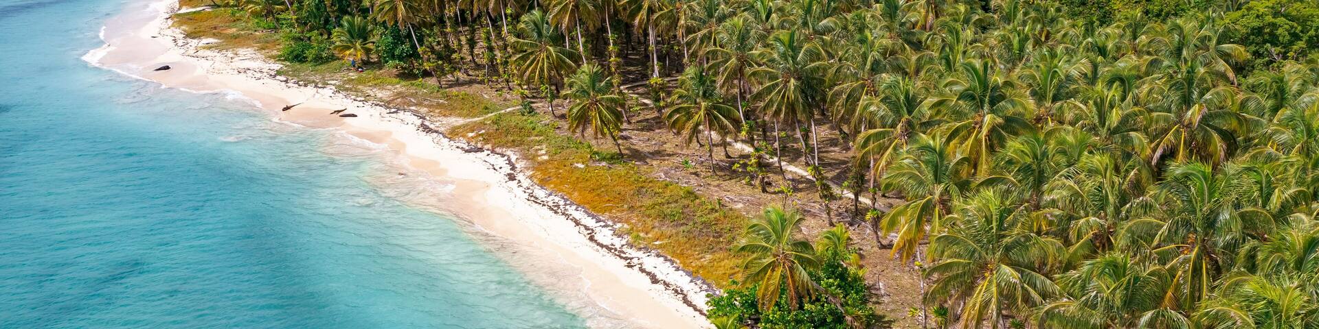 Breathtaking aerial drone view showing the lush green vegetation and white sandy beaches of Zapatillas Island in Panama
