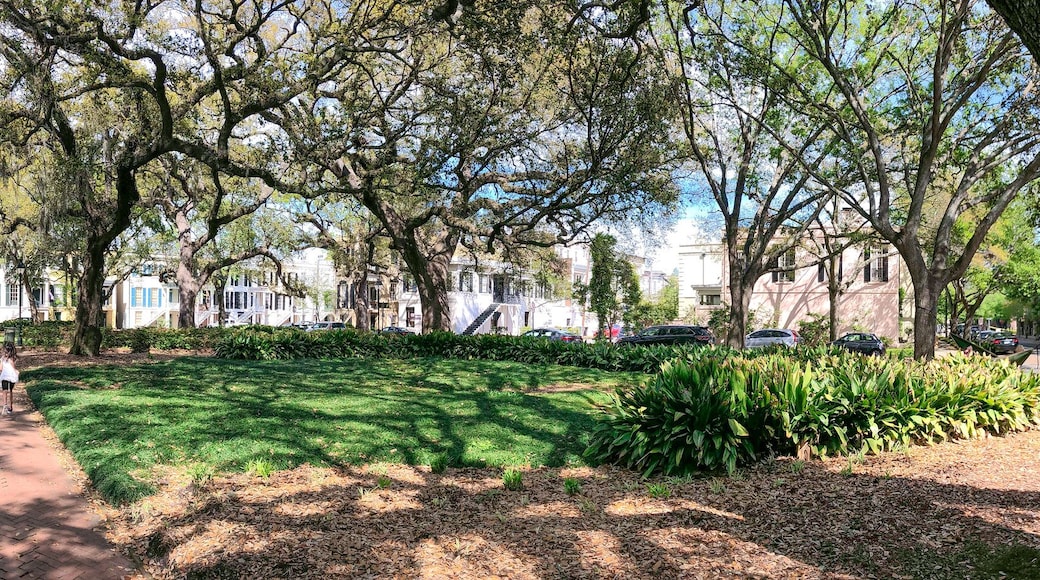 SAVANNAH, GA - APRIL 2ND, 2018: Tourists walk along beautiful city park, panoramic view. - Panoramic view