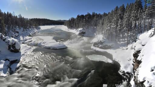 Yellowstone River, Montana