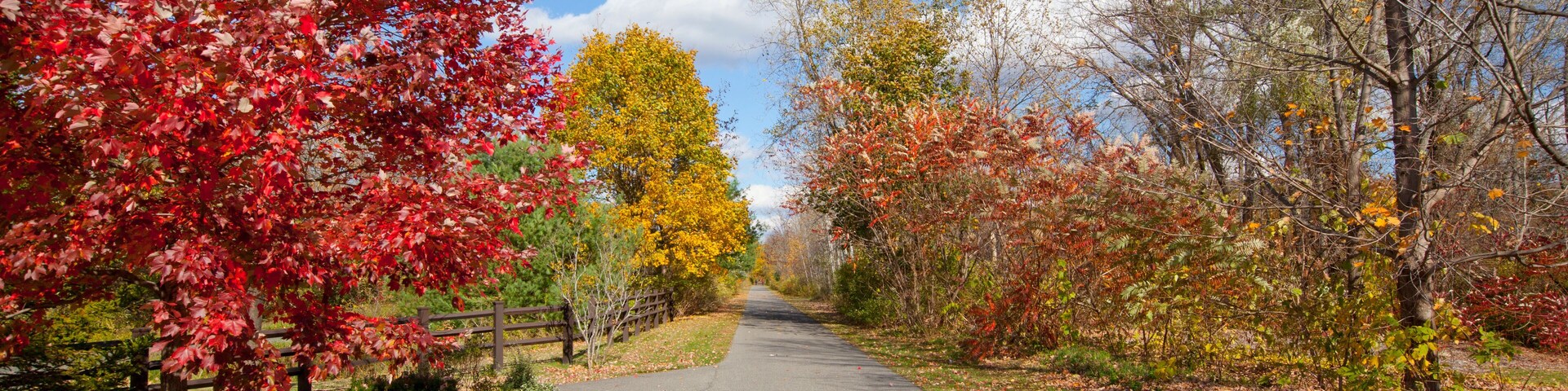 The Ashuwillticook Rail Trail