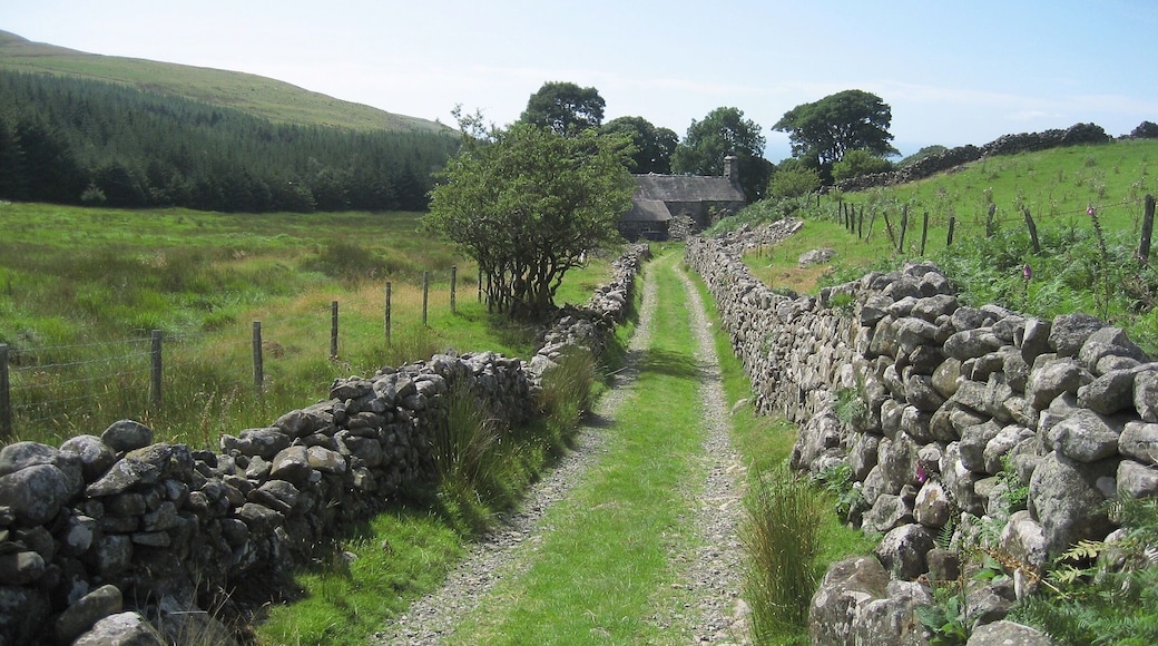 Near Barmouth, North Wales