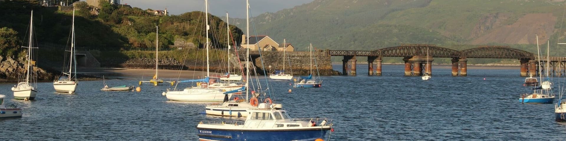 A harbor with boats, a bridge, and a hill with buildings.