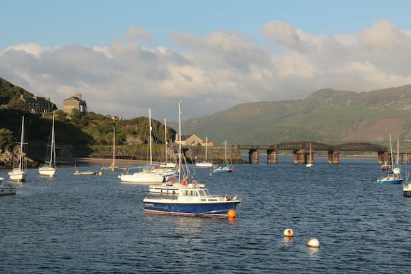 A harbor with boats, a bridge, and a hill with buildings.