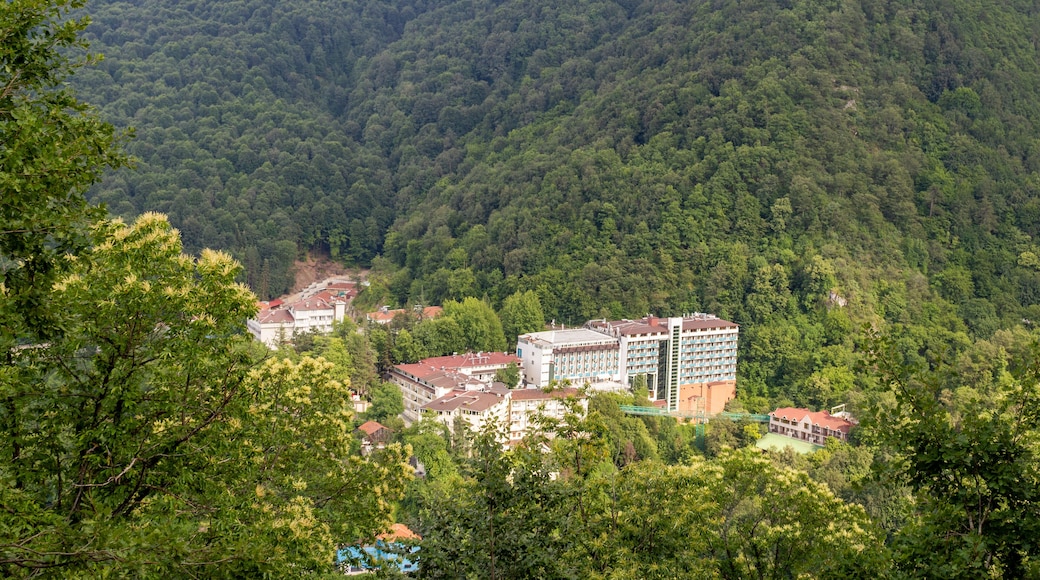 Suối nước nóng Oylat