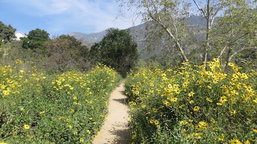 The hike to Eaton Canyon Falls takes you a nice year-round waterfall in Southern California.#TakeAHike