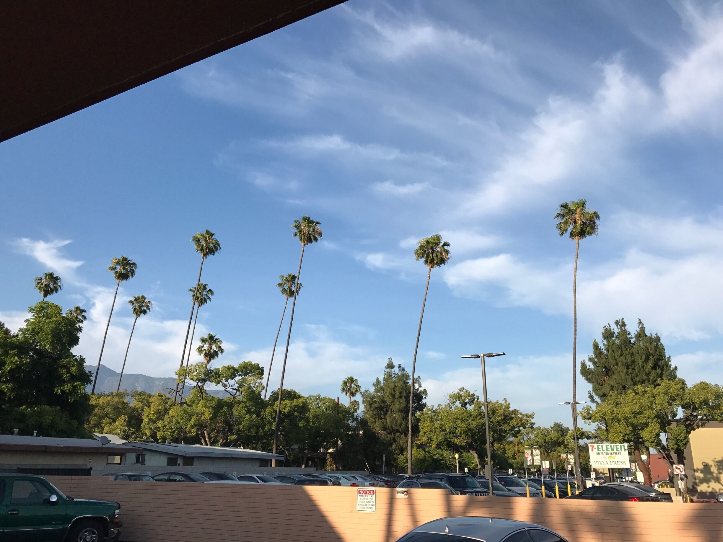 View from the back door of my room st the Saga