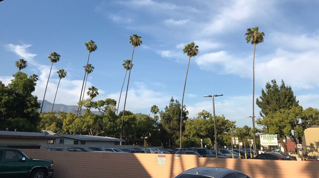 View from the back door of my room st the Saga