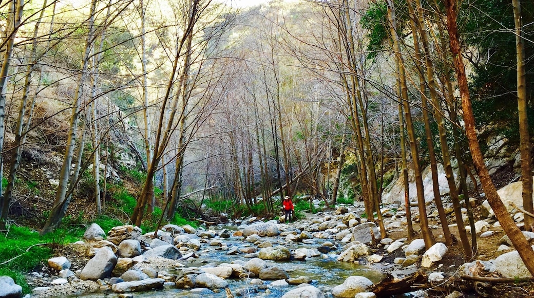 Eaton Canyon Fall Trail