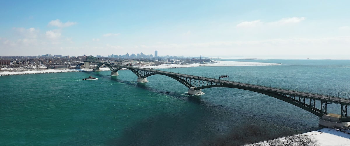 A bridge spanning a body of water with a city skyline in the background.