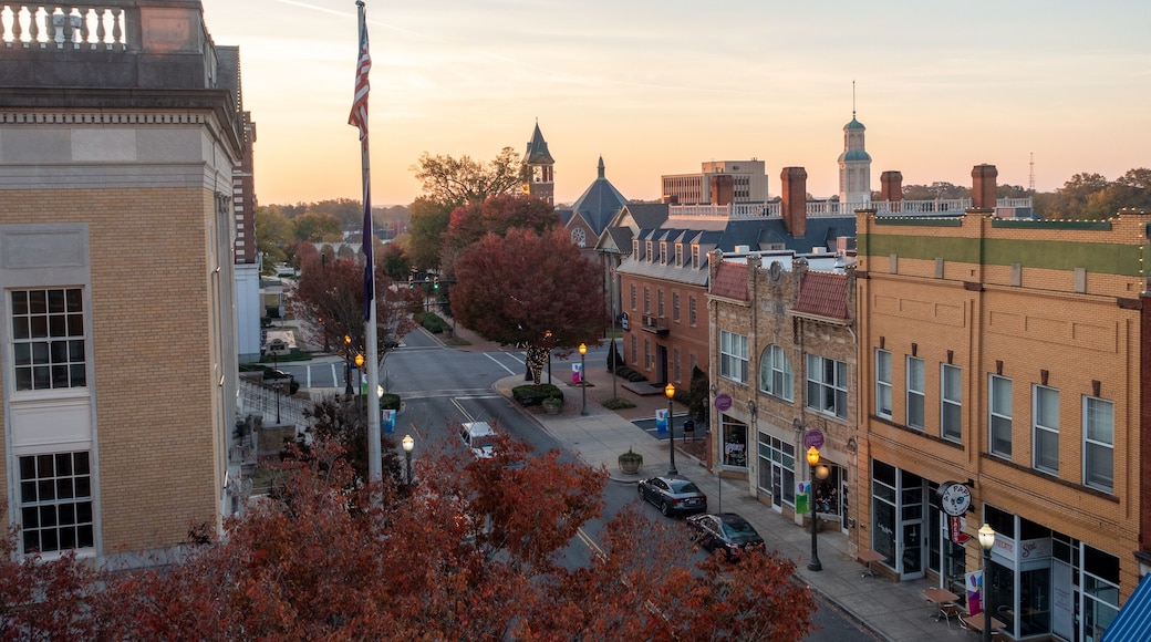 Rock hill south carolina downtown autumn season