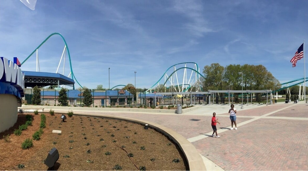 Fury 325