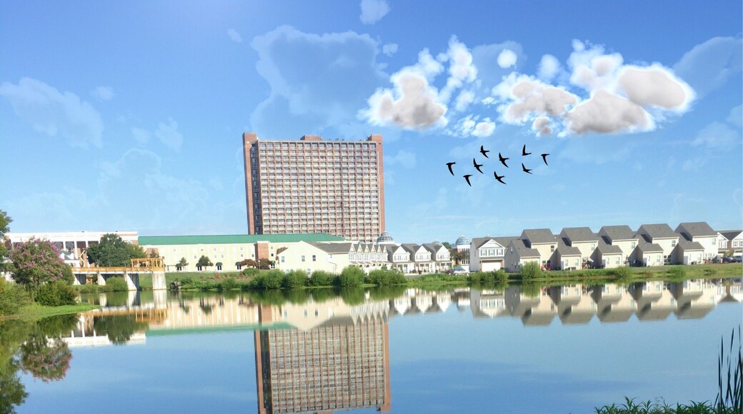 Directly across the street from the animal shelter is the very famous or infamous place that Jim and Tammy Faye Baker tried to create heaven on earth and failed