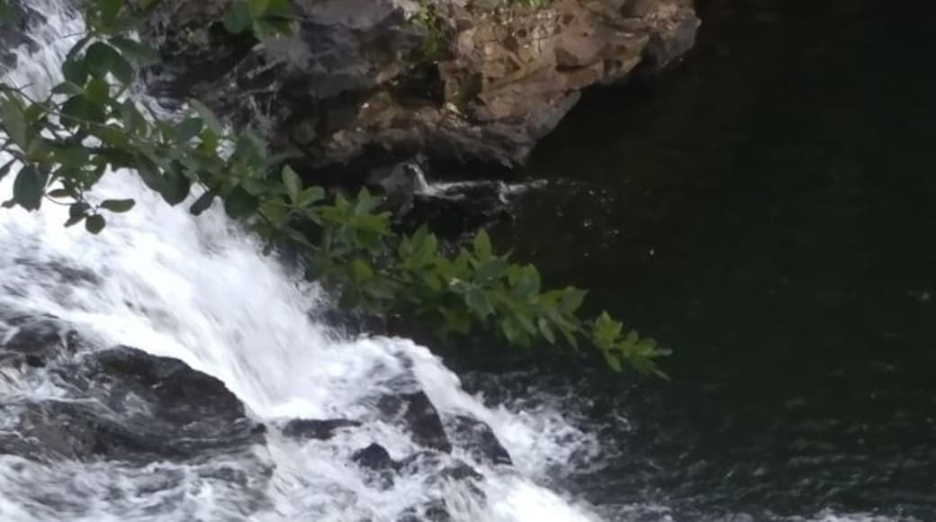 Beautiful gem located in Little River Canyon National Park