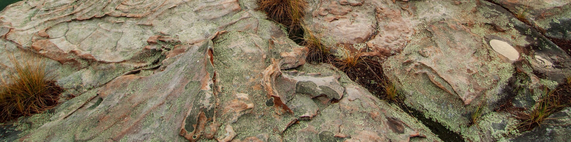 Fort Payne, AL - June 24: Fog envelopes the Little River Canyon at sunrise from a high sandstone cliff.