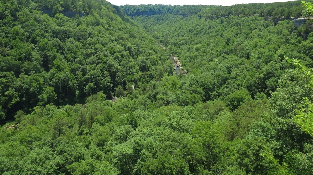 This is an easy stop off Little River Canyon Pkwy to get some gorgeous views of the national preserve.