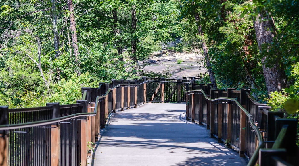 accessible walkway in Little River Canyon National Preserve, Alabama, USA
