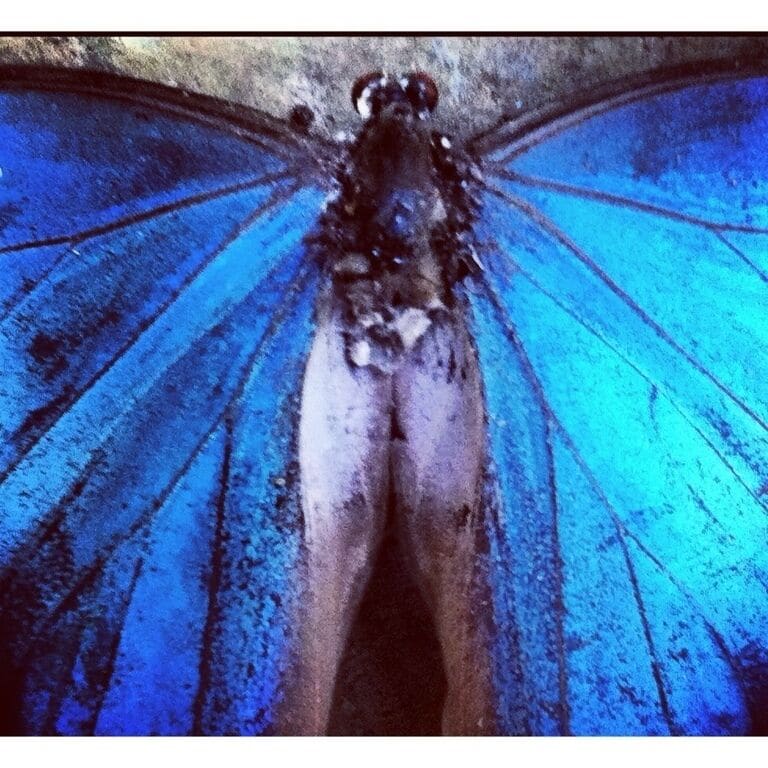 Morpho