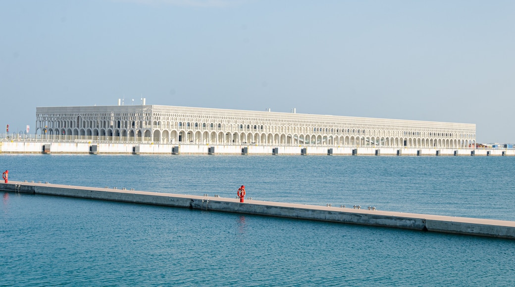 Doha kryssningsterminal