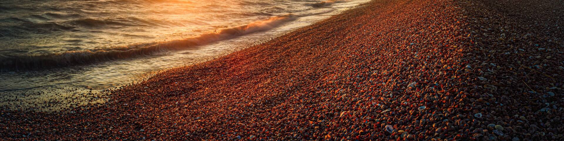 Sea shells on the beach