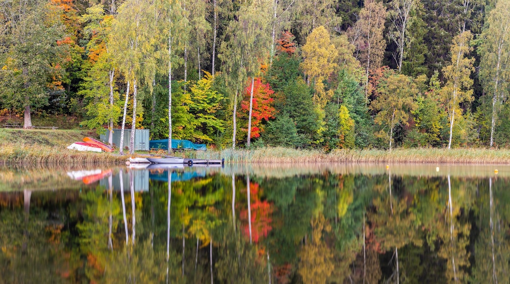 Autumn in Sodertalje