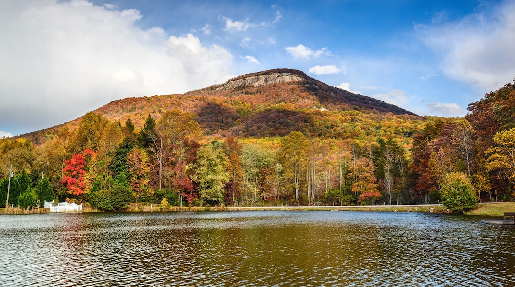 Yonah Mountain, Georgia in the Fall Season