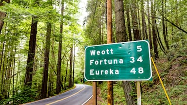 Placa de trânsito numa área arborizada com os destinos Weott, Fortuna e Eureka listados, juntamente com as distâncias.