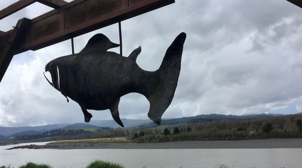 Eel River overlook with its ‘swimming upstream’ salmon sculpture.