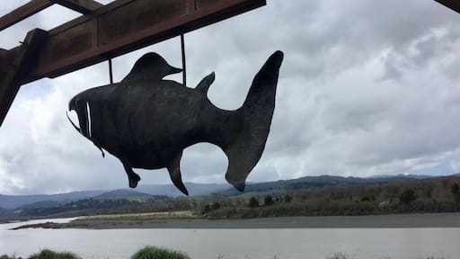 Eel River overlook with its ‘swimming upstream’ salmon sculpture.