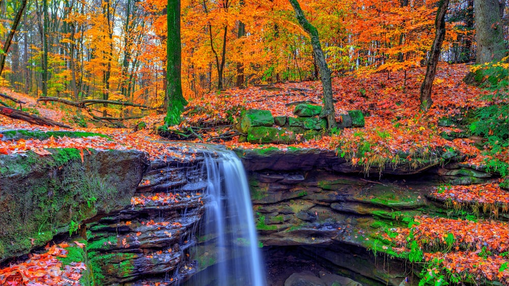 Une cascade au cœur d’une forêt, où les feuilles d’automne arborent des couleurs éclatantes.
