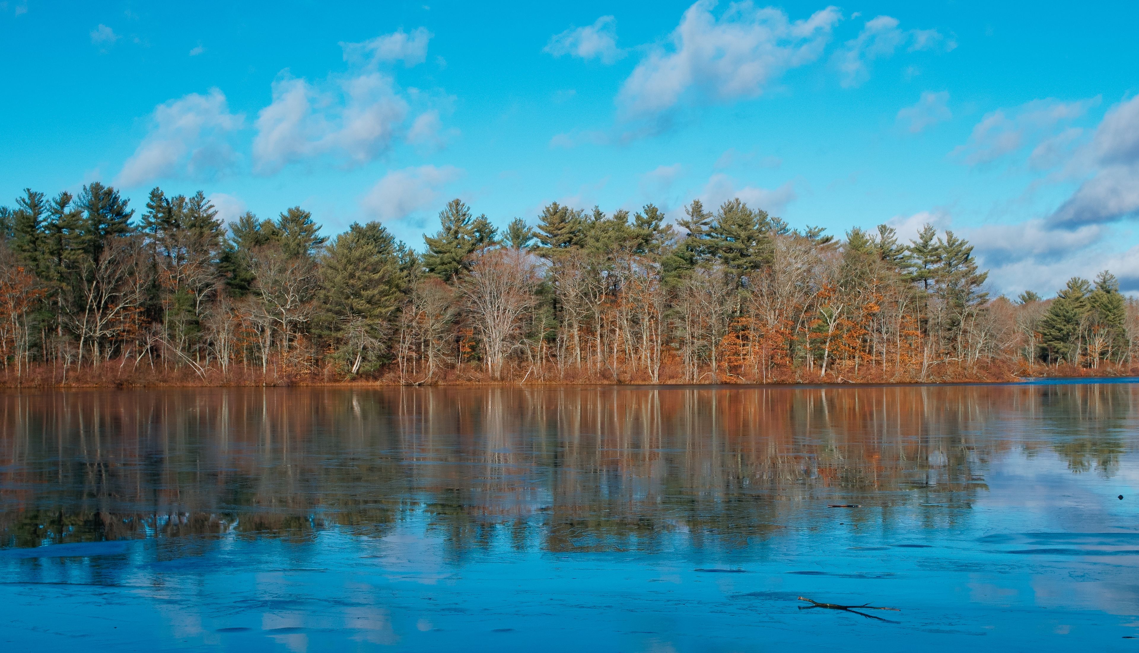 Winter scenery of Leach pond in Borderland state park Easton MA USA