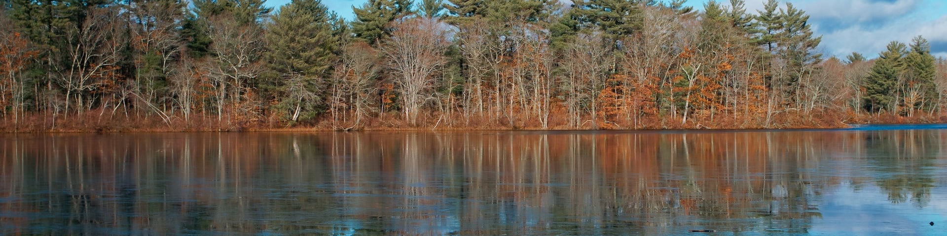 Winter scenery of Leach pond in Borderland state park Easton MA USA