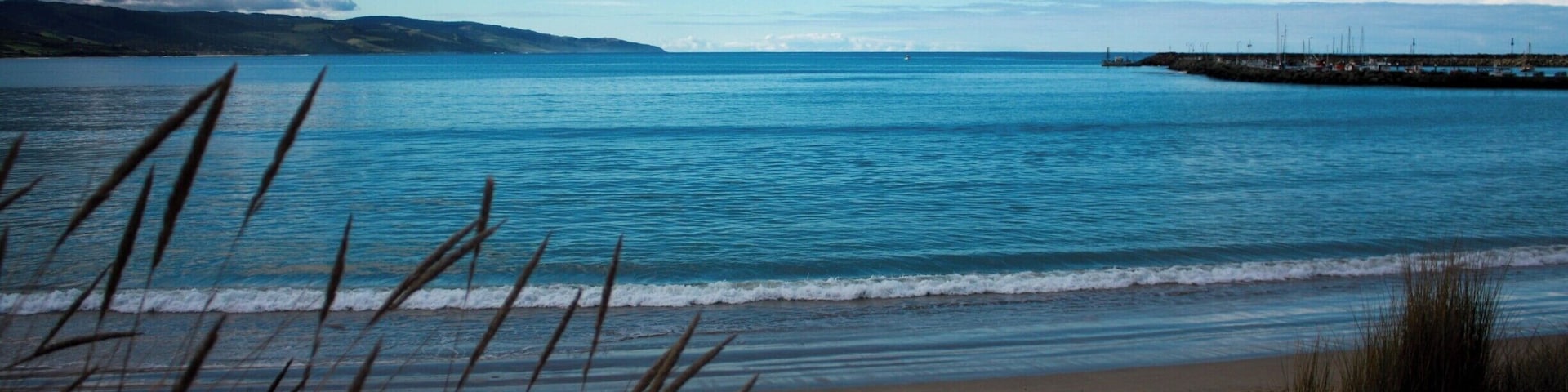 Ein Strand mit Wellen, Gras und einem entfernten Steg.