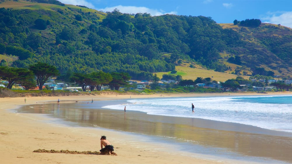 Great Ocean Road showing general coastal views and a sandy beach as well as an individual child