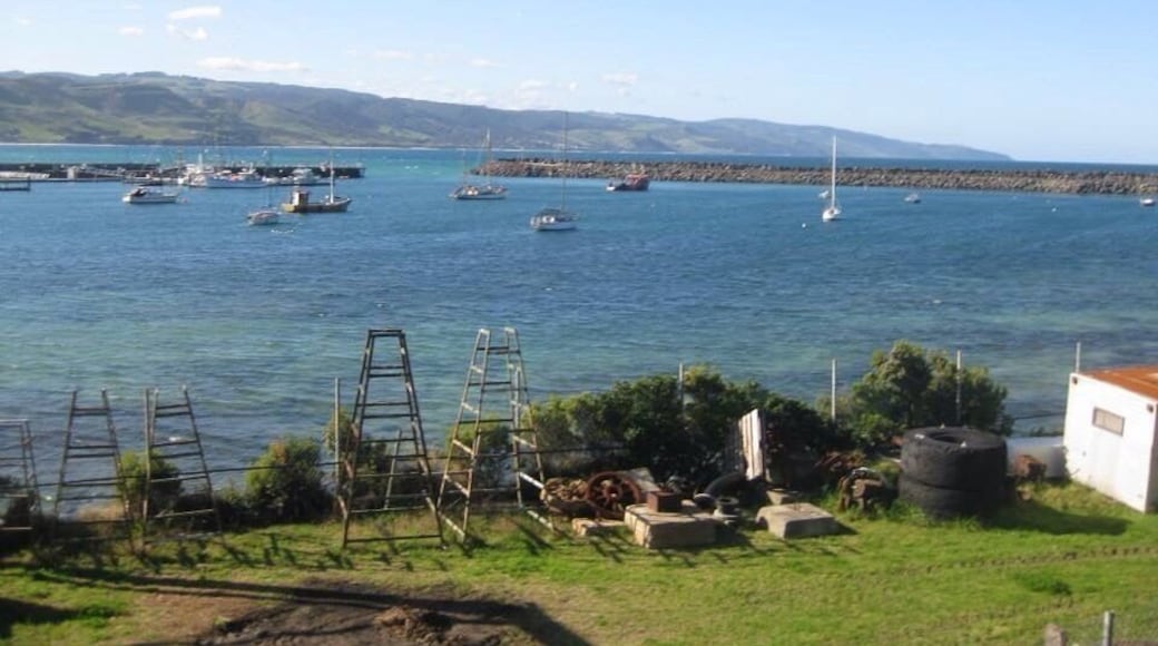 Summer in The Bay; fish for dinner.