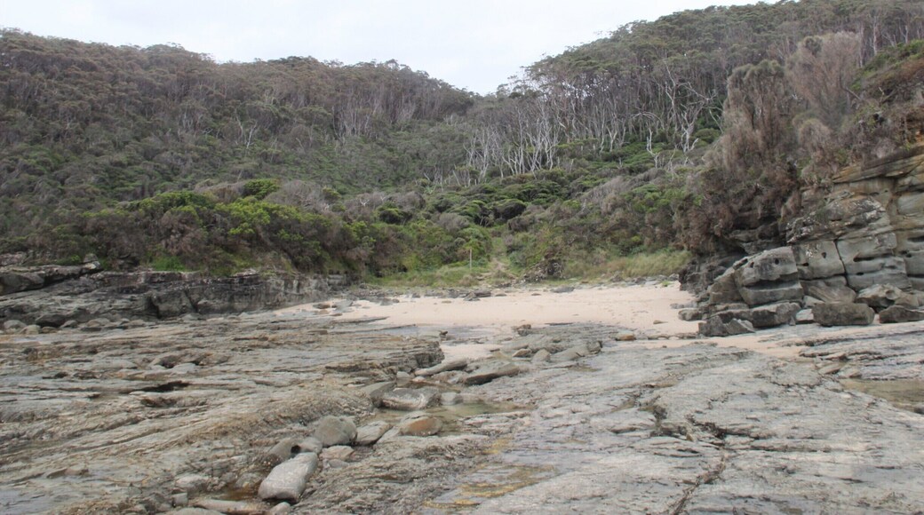 This is a beautiful secluded beach about 7km out from Apollo Bay. Many brilliant beaches, such as Marengo and Blanket Bay, are starting to become more popular. I loved here because the forest met the sea. Just make sure to keep an eye on the tide!
Some companies will drop you off here for $10 and you can walk back to Apollo Bay. A beautiful walk #lovemytown