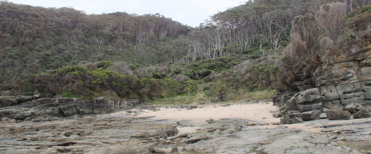 This is a beautiful secluded beach about 7km out from Apollo Bay. Many brilliant beaches, such as Marengo and Blanket Bay, are starting to become more popular. I loved here because the forest met the sea. Just make sure to keep an eye on the tide!
Some companies will drop you off here for $10 and you can walk back to Apollo Bay. A beautiful walk #lovemytown