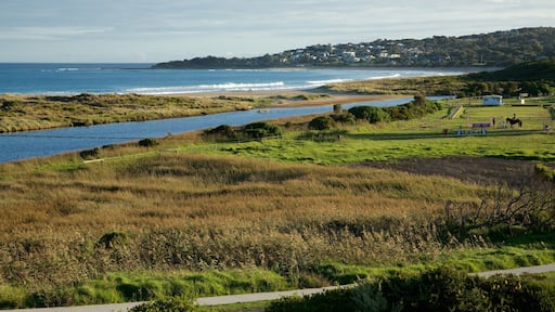 Apollo Bay featuring general coastal views