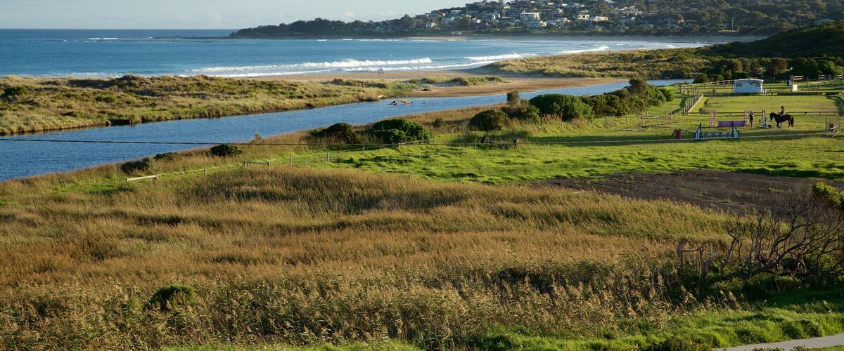 A coastal landscape with a river, grassy fields, a beach, and a distant town.