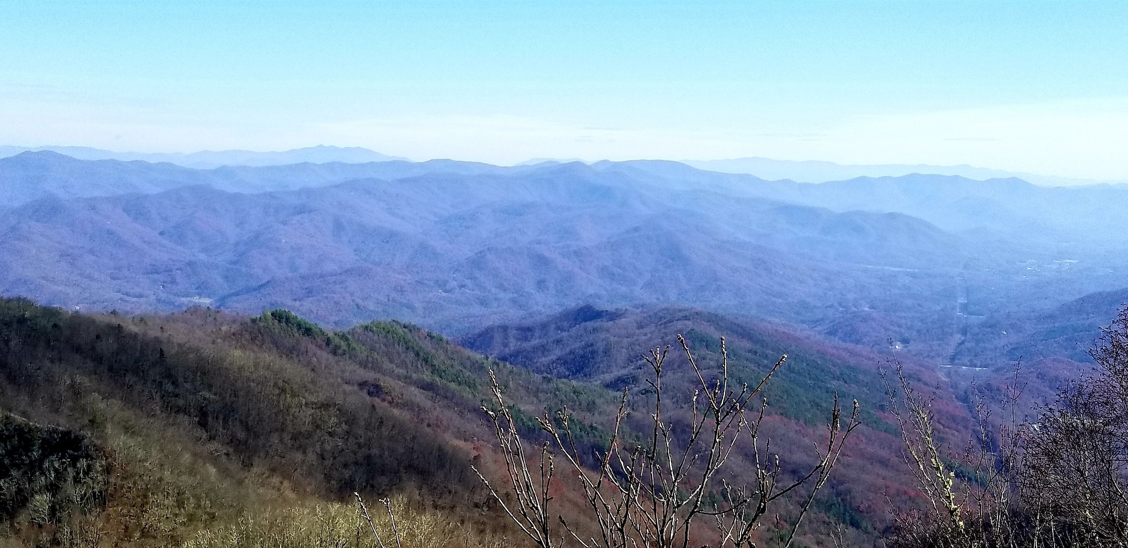Stunning 360 view at the top of this fire tower 