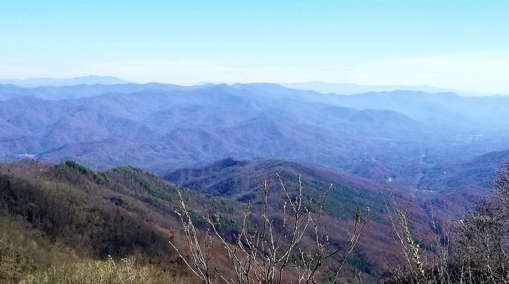 Stunning 360 view at the top of this fire tower