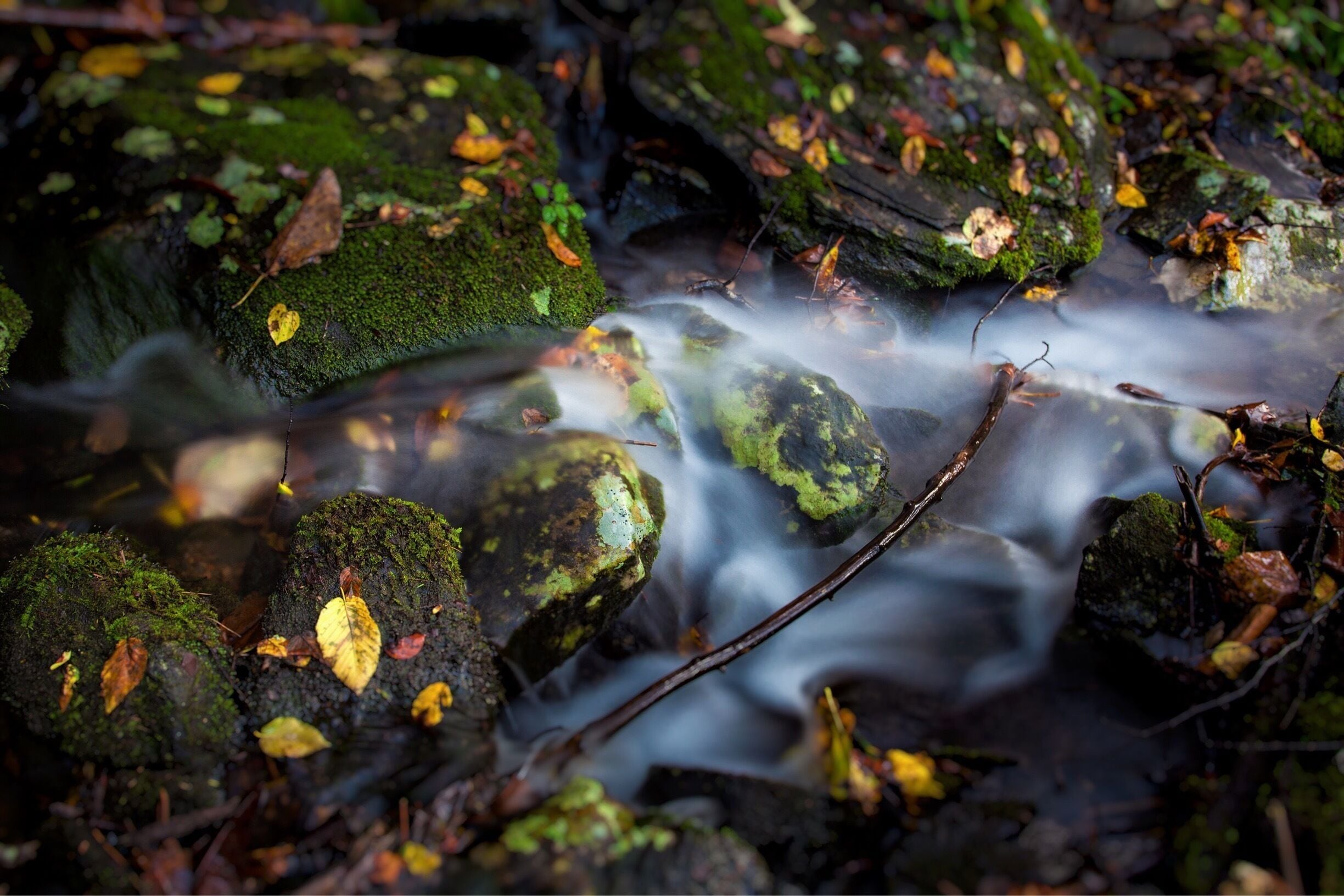 This little campground has many streams flowing into it, a river running through it, and connects with the Appalachian Trail.