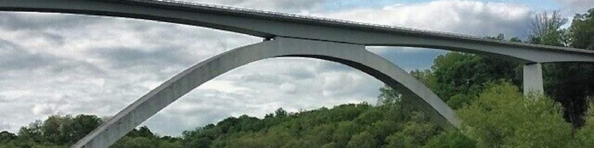 Coolest bridge I've ever seen! #Green