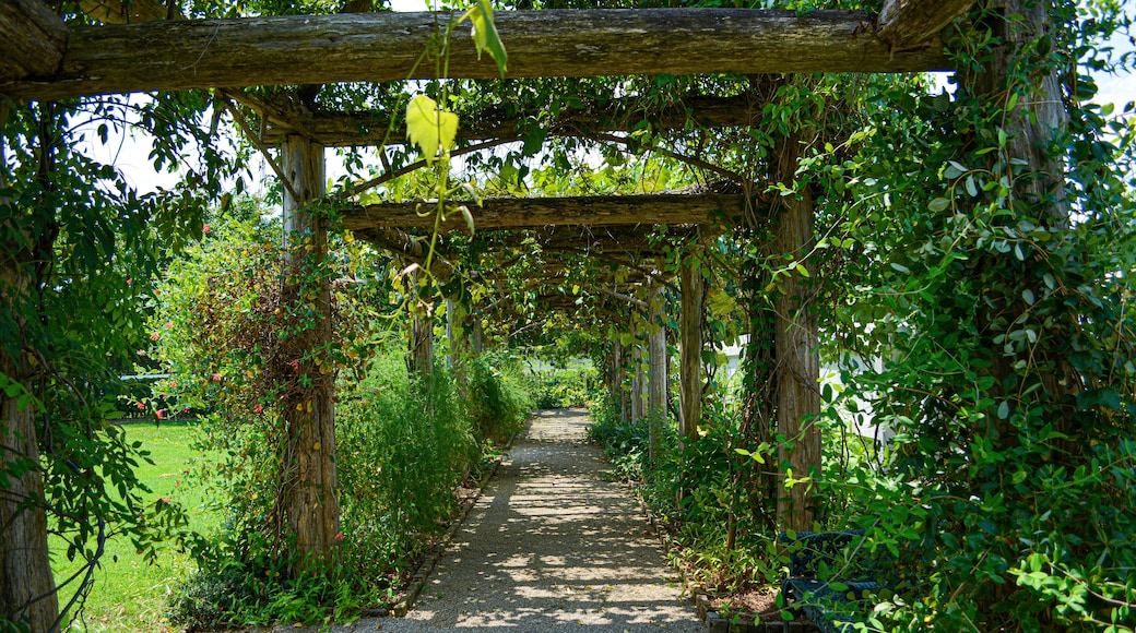 Carnton Plantation Garden